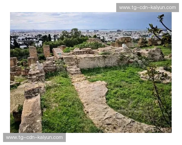 冰与火的碰撞:当北欧海盗遇见迦太基雄鹰,突尼斯vs瑞典的深度博弈 冰与火的碰撞:当北欧海盗遇见迦太基雄鹰,突尼斯vs瑞典的深度博弈